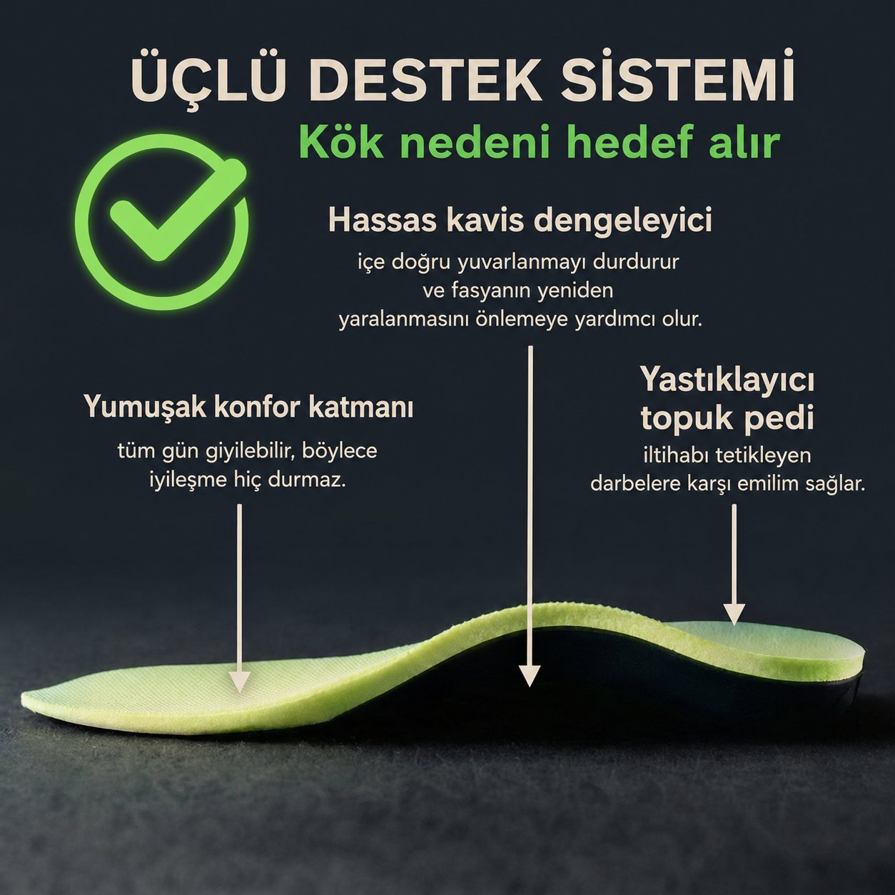 Avensos Ortopedik Destek Tabanlığı